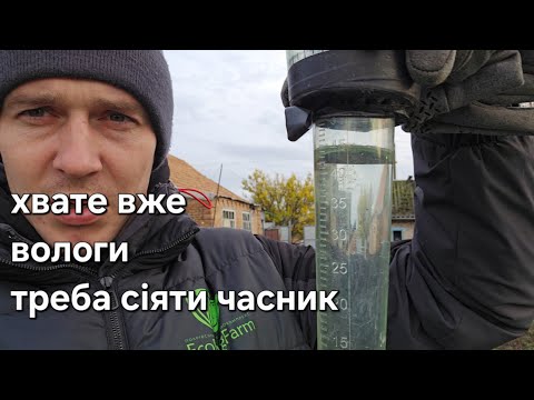 Видео: Посадка часнику 2025: все готово, але погода не дає! Випало 110 мм опадів