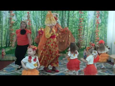 Видео: 1 ноября 2025 г.