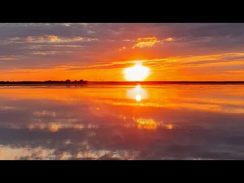 Видео: Трудовая рыбалка с друзьями. Киркита. Калмыкия.