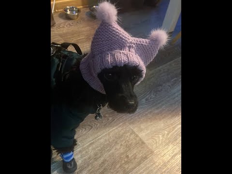 Видео: Лекция№6/Неинерциальные системы отсчёта/Ольчак А.С.