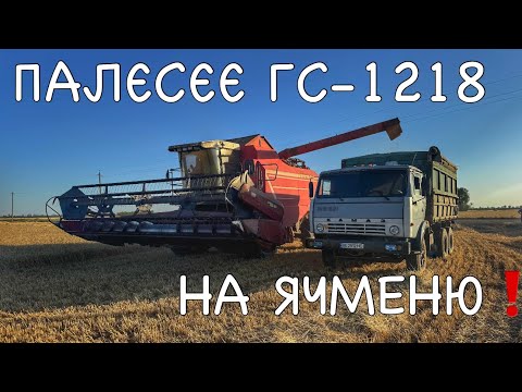 Видео: Жнива ячменю❗️Палєсєє ГС-1218 і КамАЗ 🫡