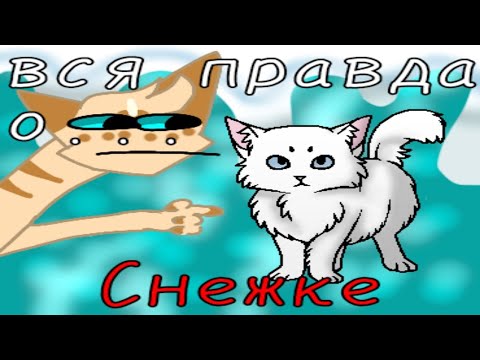 Видео: вся правда о Снежке!\\коты воители\\