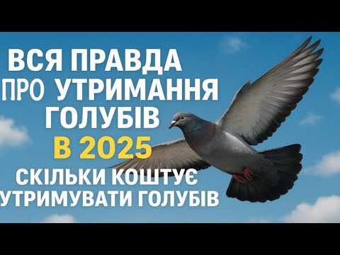 Видео: 🕊️Утримання голубів у 2025 році: Скільки реально коштує та які проблеми чекають?