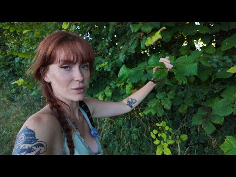 Видео: Поздний летний поиск пропитания • британский сельский видеоблог ✨️Август✨️