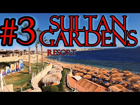 Видео: Отдых в Египте /  Sultan Gardens Resort 5* / #3