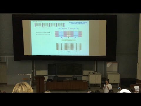 Видео: Гистология. Мышечные Ткани (Ч2)