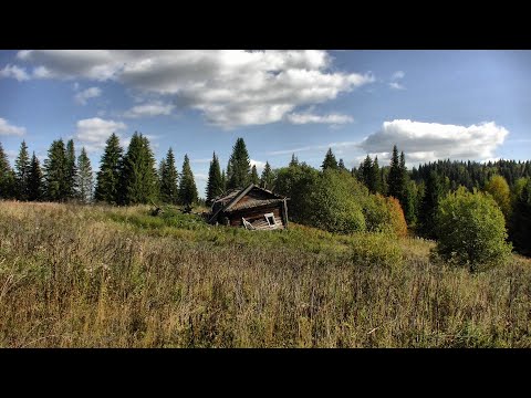 Видео: Разведка в глухомани #533