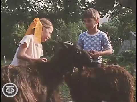 Видео: Из архива Гостелерадиофонда: о юбилее маяка, 1980 год