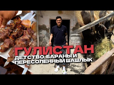 Видео: Поесть в Гулистан. Пересоленный шашлык и теплые встречи @foodkeem