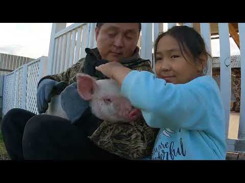 Видео: Төрөөбүт күннүүбүт