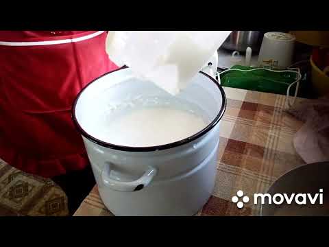 Видео: Мороженое на козьих сливках