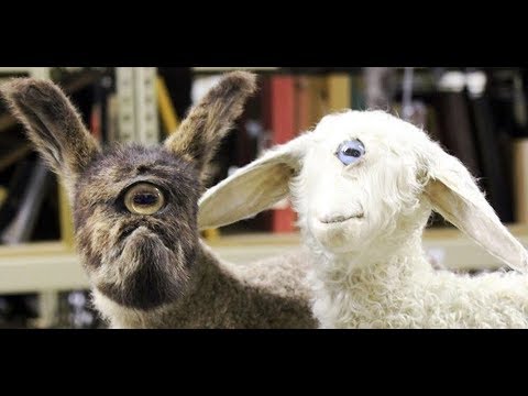 Видео: Почему мы все - мутанты? Александр Панчин на QWERTY