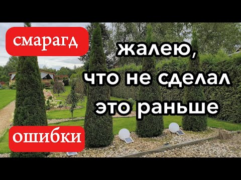 Видео: Туя Смарагд: ЖАЛЕЮ, что не сделал ЭТО раньше — как спасти тую #ТуяСмарагд #ЗимнийУход #ОшибкиСада