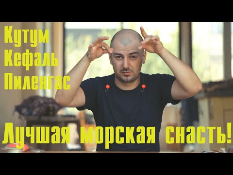 Видео: ЛУЧШАЯ ОСНАСТКА для морской рыбалки | КУТУМ / КЕФАЛЬ / ПИЛЕНГАС