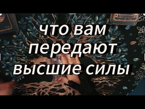 Видео: Какие силы за вами стоят и что от вас ждут⁉️ #таробудущиймуж #медитациионлайн