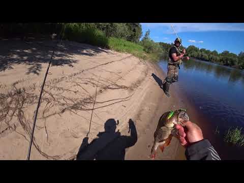 Видео: КРУПНЫЙ ОКУНЬ И ЩУКА НА СПИННИНГ. РЫБАЛКА В ТОМСКОЙ ОБЛАСТИ
