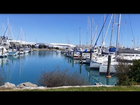 Видео: Прогуляемся по яхт клубу. от 31.10.25