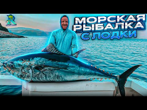 Видео: Морская Рыбалка в Турции Август 2024
