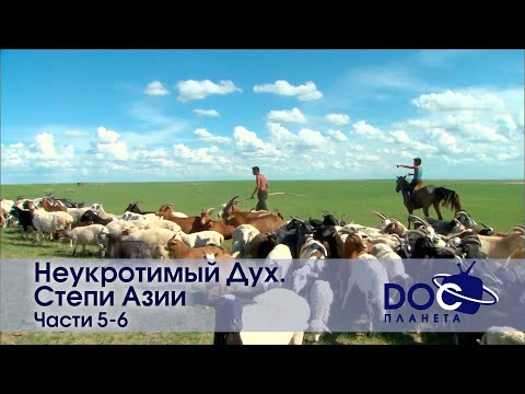 Видео: Неукротимый Дух. Степи Азии. Части 5-6 - Документальный фильм- Сборник