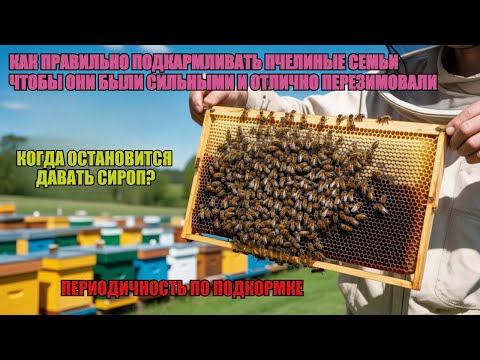 Видео: СЕКРЕТЫ ПОДКОРМКИ ДЛЯ СИЛЬНЫХ СЕМЕЙ В ЗИМУ как ПРАВИЛЬНО ДАВАТЬ СИРОП КОГДА ОСТАНОВИТСЯ ✅☝️🐝
