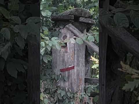 Видео: борті односельчанина