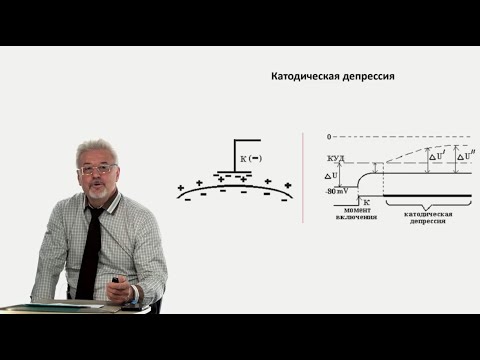 Видео: Евсеев А.В. Нормальная физиология. Лекция №6. Природа КУД и рефрактерности. Законы раздражения. 2023