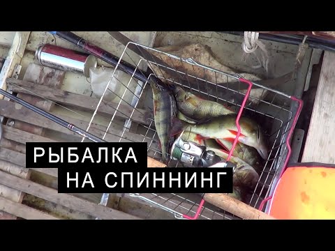 Видео: РЫБАЛКА на СПИННИНГ.