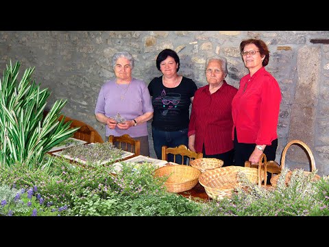 Видео: Коллекция ДИКИХ РАСТЕНИЙ для ЛЕКАРСТВЕННОГО, КУЛИНАРНОГО И ТЕРАПЕВТИЧЕСКОГО использования