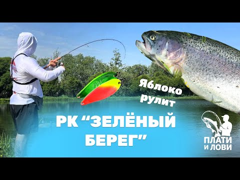 Видео: #5 ТАКОЙ РЫБАЛКИ У МЕНЯ НЕ БЫЛО. ЛОВЛЯ ФОРЕЛИ НА ПЛАТНИКЕ НА БЛЕСНУ. РК зеленый берег