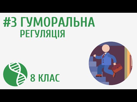 Видео: Гуморальна регуляція #3