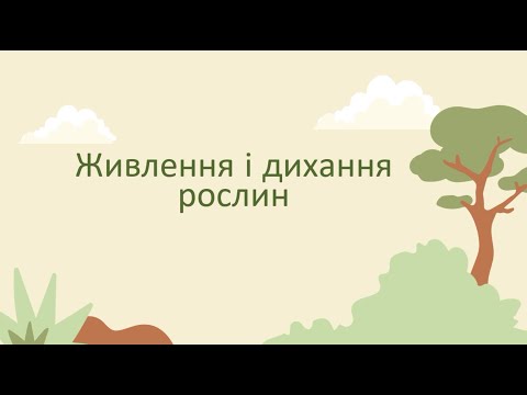 Видео: Живлення і дихання рослин