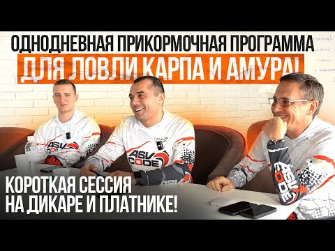Видео: Однодневная прикормочная программа для ловли карпа и амура! Короткая сессия на дикаре и платнике!