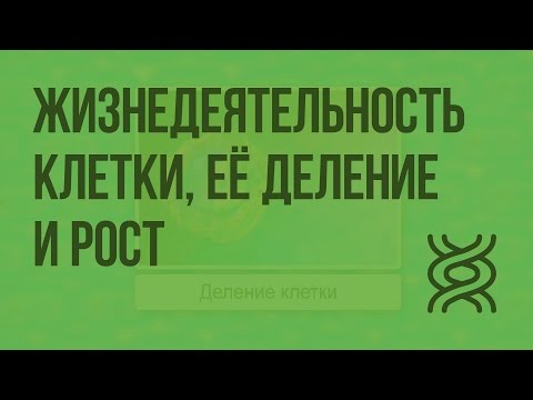 Видео: Жизнедеятельность клетки, её деление и рост. Видеоурок по биологии 5 класс