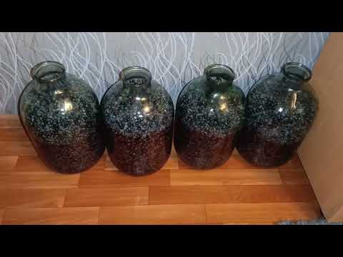 Видео: #домашнеевино #виноградноевино