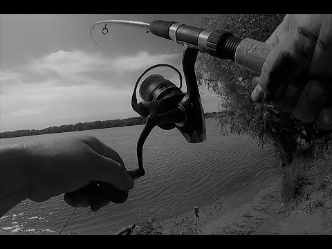 Видео: Бешеный сазан  Возвращение!