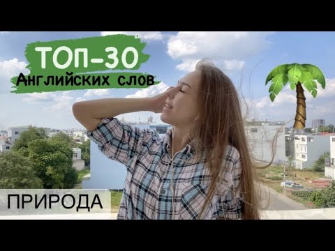 Видео: Английские слова ПРО ПРИРОДУ 🌳 для новичков. База слов для уровня А1