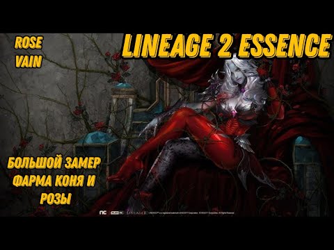 Видео: Большое сравнение фарма Розы и Коня в  Lineage 2 Essencе!!