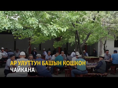Видео: Ар улуттун башын кошкон чайкана