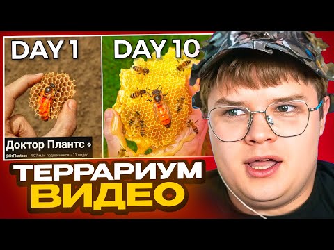 Видео: КАША СМОТРИТ ИНТЕРЕСНЫЕ НАУЧНЫЕ ВИДЕО ПРО ЖИВОТНЫХ #2