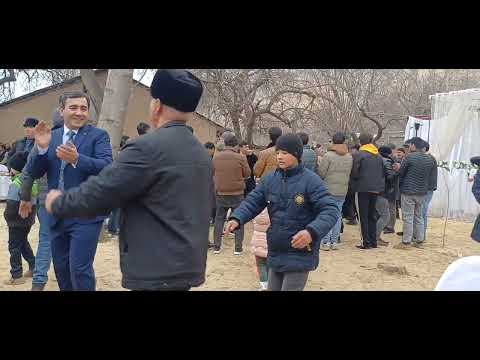 Видео: 25 октября 2025 г.