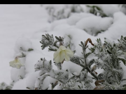 Видео: покатушки в Антоновку. казахстан. Костанай.