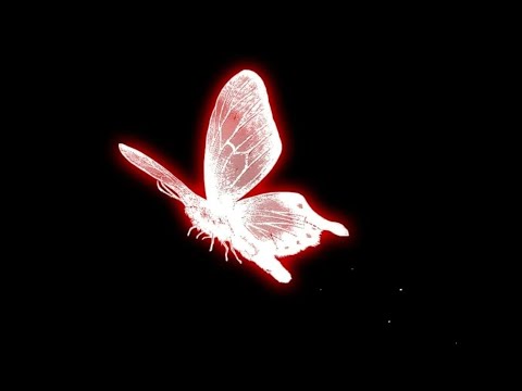 Видео: rauf x faik - вечера | slowed reverb