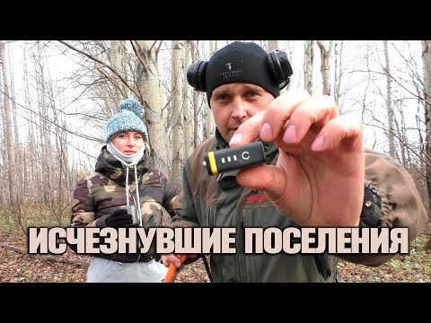 Видео: ЧТО СКРЫВАЮТ ИСЧЕЗНУВШИЕ ЛЕСНЫЕ ПОСЕЛЕНИЯ? 👀🌲