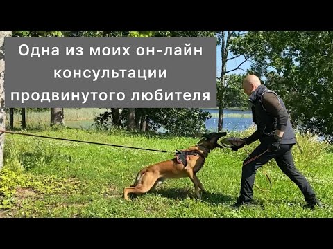 Видео: Вместе с малинуа-помощником разбираем клиентское видео.