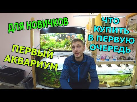 Видео: ДЛЯ НОВИЧКОВ! ПЕРВЫЙ АКВАРИУМ!!!