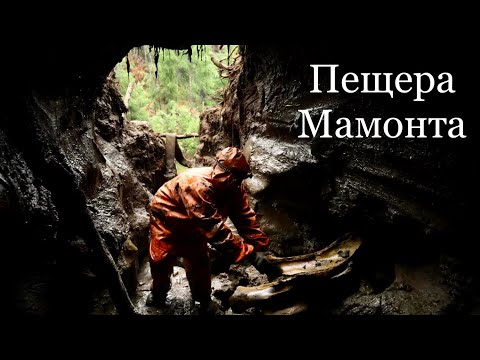 Видео: Пещера мамонта