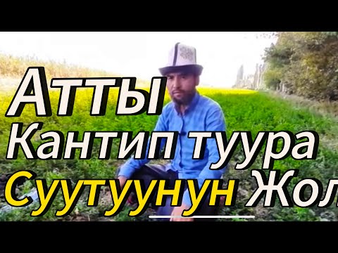 Видео: Атты суутуунун жолу 10 сентября 2025 г.