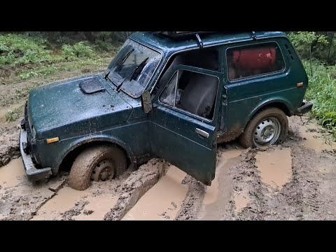 Видео: В поисках золота