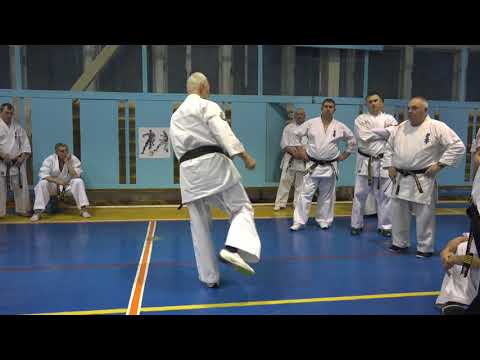 Видео: ЗИМНЯЯ ШКОЛА ФКР-2018. САЙХА