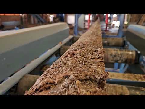 Видео: Лесопильная линия "Форта" в Шарье - спустя полгода работы